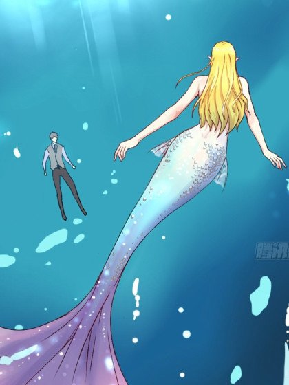 人魚之淚封面